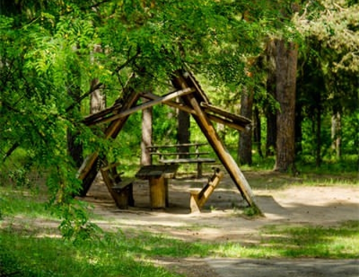 Услуги и развлечения - Санаторий «Колос» Кировская область